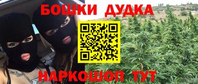 spice Бердск