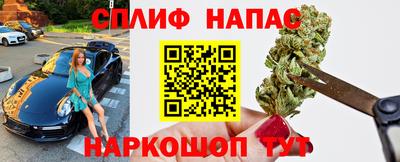 spice Бердск